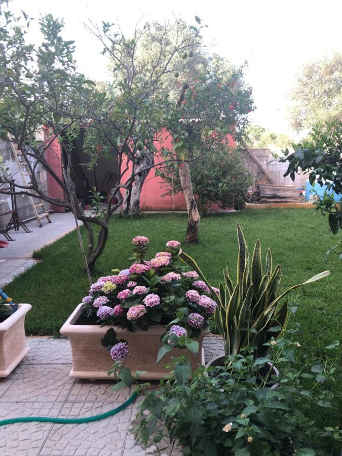 Paese Museo Apartment San Sperate Екстериор снимка